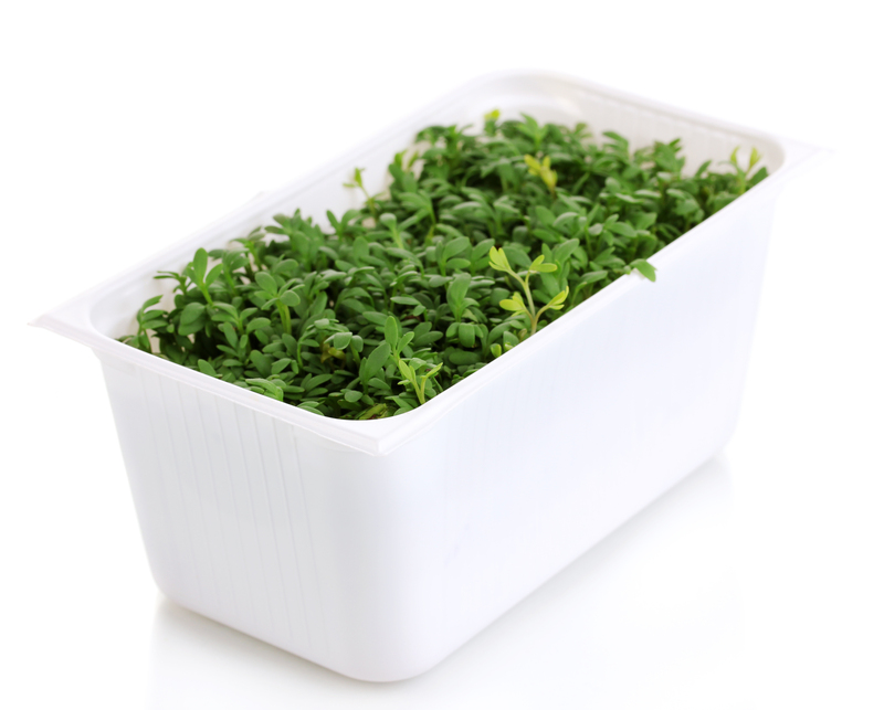 Harness the Power of Nature with 10 Green Waste Reduction Methods